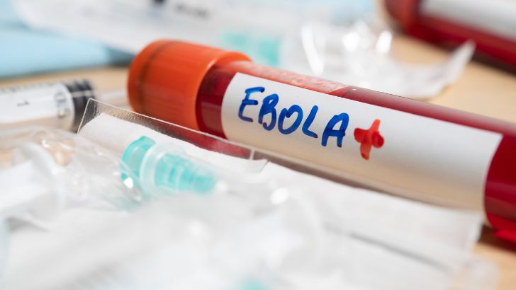 https://salarnews.in/public/uploads/images/newsimages/maannewsimage04082026_181320_Ebola.jpg