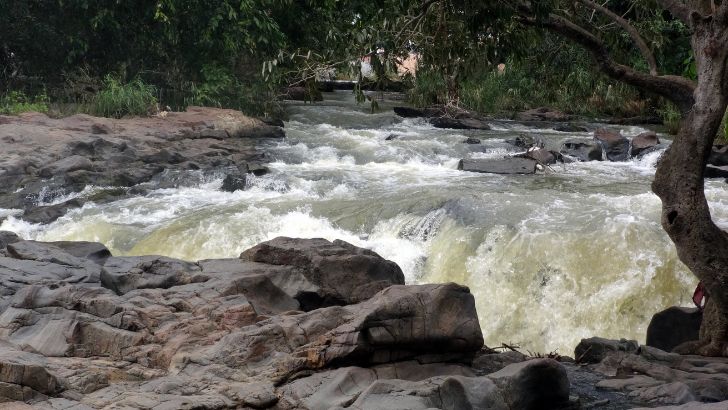 https://salarnews.in/public/uploads/images/newsimages/maannewsimage09092026_155847_Cauvery.jpg