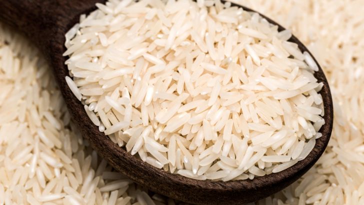 https://salarnews.in/public/uploads/images/newsimages/maannewsimage10102026_170843_rice.jpg