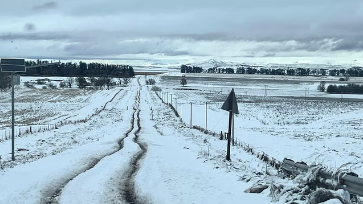 https://salarnews.in/public/uploads/images/newsimages/maannewsimage11062025_174503_snoww.png