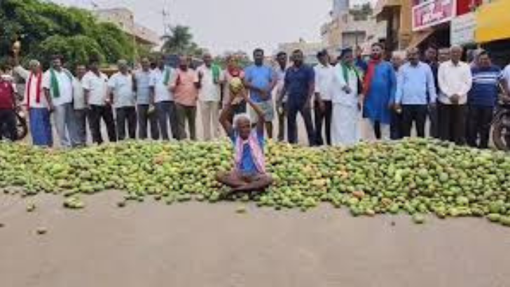 https://salarnews.in/public/uploads/images/newsimages/maannewsimage11062025_233540_mango.png