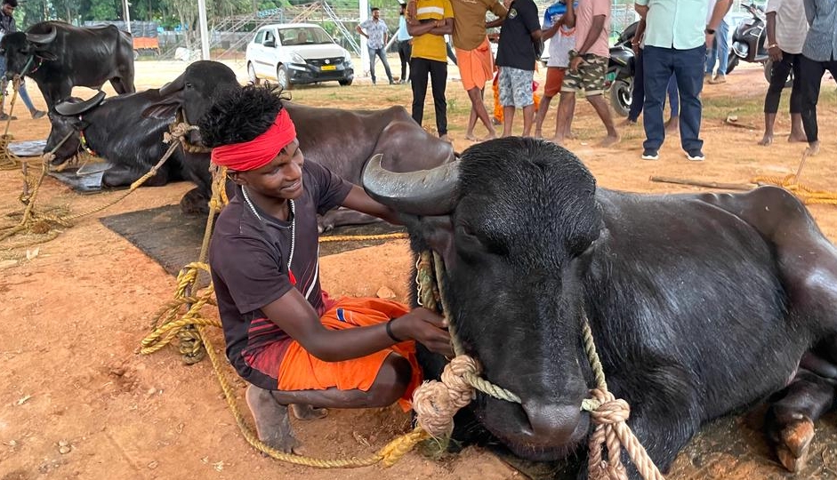 https://salarnews.in/public/uploads/images/newsimages/maannewsimage12022024_195330_Kambala-Nov22.jpg