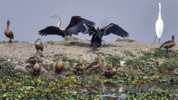https://salarnews.in/public/uploads/images/newsimages/maannewsimage12082026_223414_Kaziranga.jpg
