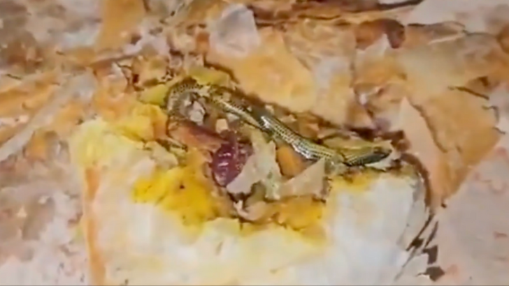 https://salarnews.in/public/uploads/images/newsimages/maannewsimage13082025_151900_snake.png