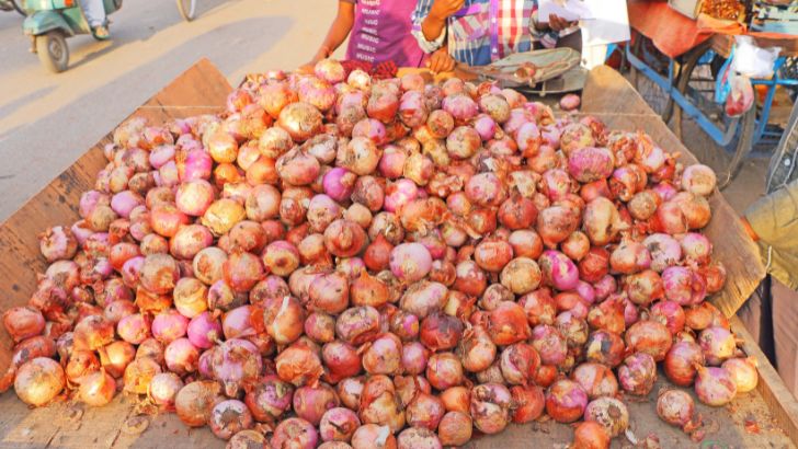 https://salarnews.in/public/uploads/images/newsimages/maannewsimage13092026_210433_onions.jpg