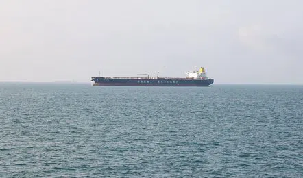 https://salarnews.in/public/uploads/images/newsimages/maannewsimage14052026_183839_Hormuz-ship_V_jpeg--442x260-4g.webp