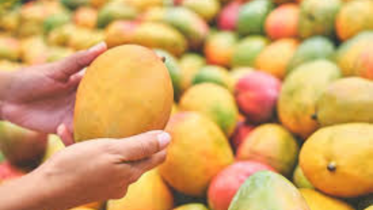 https://salarnews.in/public/uploads/images/newsimages/maannewsimage14062025_234221_mangoes.png