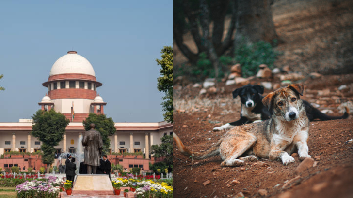https://salarnews.in/public/uploads/images/newsimages/maannewsimage14082025_145100_dogs.png