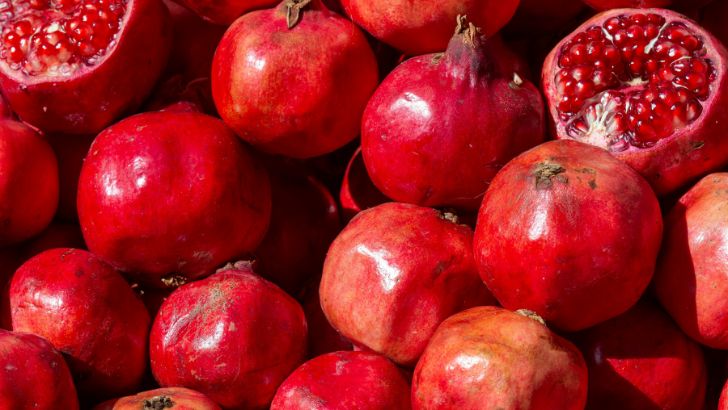 https://salarnews.in/public/uploads/images/newsimages/maannewsimage15082026_222554_pomegranate.jpg