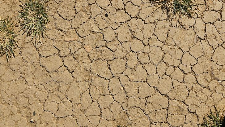 https://salarnews.in/public/uploads/images/newsimages/maannewsimage15102026_221248_drought.jpg
