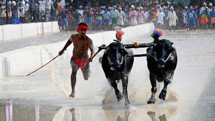 https://salarnews.in/public/uploads/images/newsimages/maannewsimage19082026_211805_kambala.jpg
