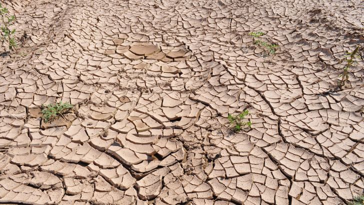 https://salarnews.in/public/uploads/images/newsimages/maannewsimage26092026_165614_drought.jpg