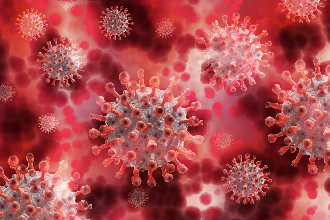 https://salarnews.in/public/uploads/images/newsimages/maannewsimage28052025_214340_coronavirus-5174671_1280.webp