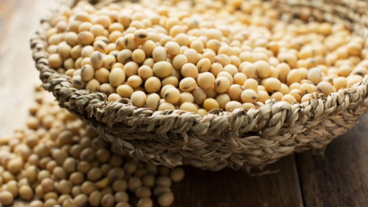https://salarnews.in/public/uploads/images/newsimages/maannewsimage30092026_212837_soybean.jpg